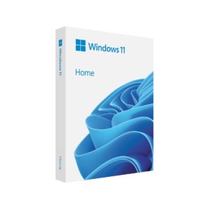 Microsoft Windows 11 Home DSP